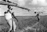 Cedric Nunn, local women with harvested reeds, Kosi Bay, Ingwavuma, KwaZulu-Natal, 1991 &copy;Cedric Nunn
